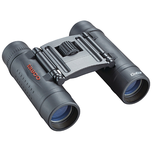 10x 25mm Roof Binoculars, Black