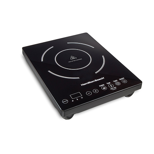 Portable Induction Cooker