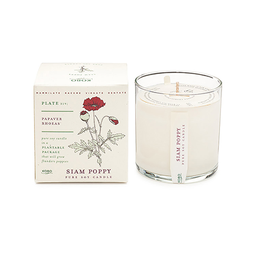 3.5" Siam Poppy Plant The Box Pure Soy Wax Candle