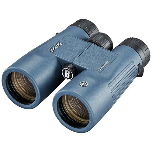H2O 8X42 Waterproof Binoculars
